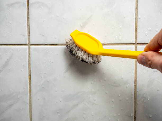Kinsley, KS Mold Removal Company
