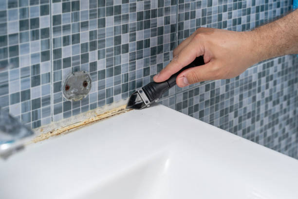 Best Mold Testing  in Kinsley, KS