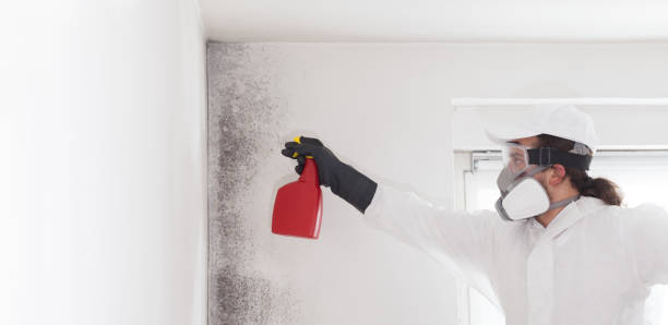 Best Water Damage Restoration  in Kinsley, KS
