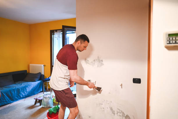 Best Home Mold Removal  in Kinsley, KS