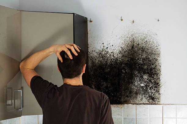 Best Mold Cleaning Services  in Kinsley, KS
